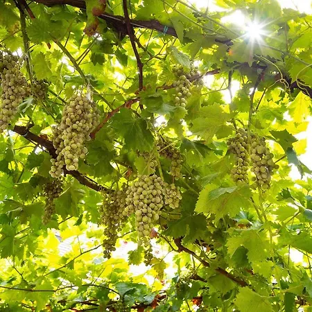 Annaberg Hotel Bad Duerkheim