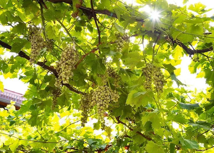 Annaberg Hotel Bad Dürkheim